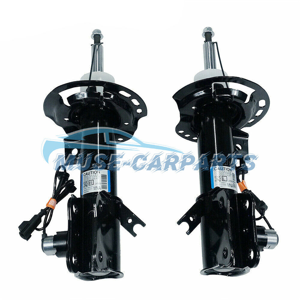 2x Rear L&R Shock Absorber Struts for Hyundai Senta Fe 06-10 for Kia Sorento 11-13