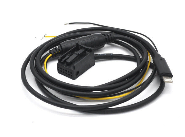 for BMW X5 X3 Z4 E53 iPHONE 10 8 7 MUSIC INTERFACE AUX ADAPTER CABLE LIGHTING