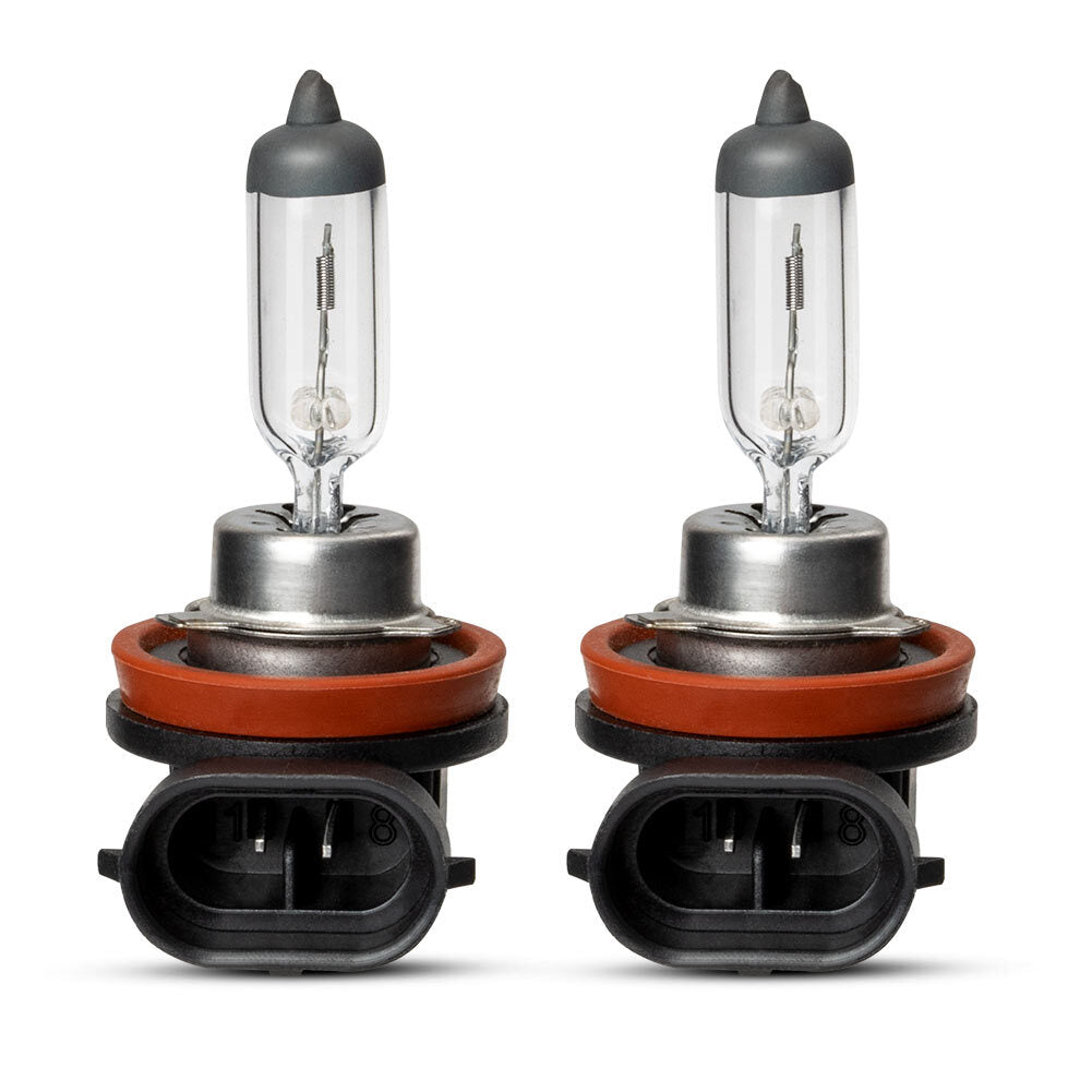 2X H11 Halogen 12V 55W Fog Halogen Bulb Car Head Light Lamps Auto Low Beam