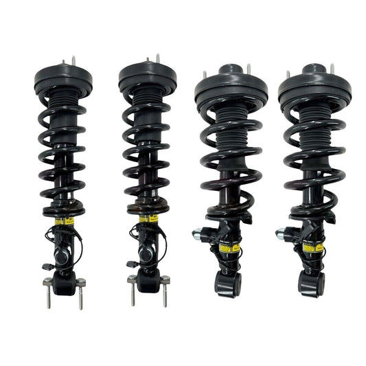 Two rear L&R shock absorber struts from Assys fit the for Lincoln MKZ Gasoline 2013 - 2020 Electric.
