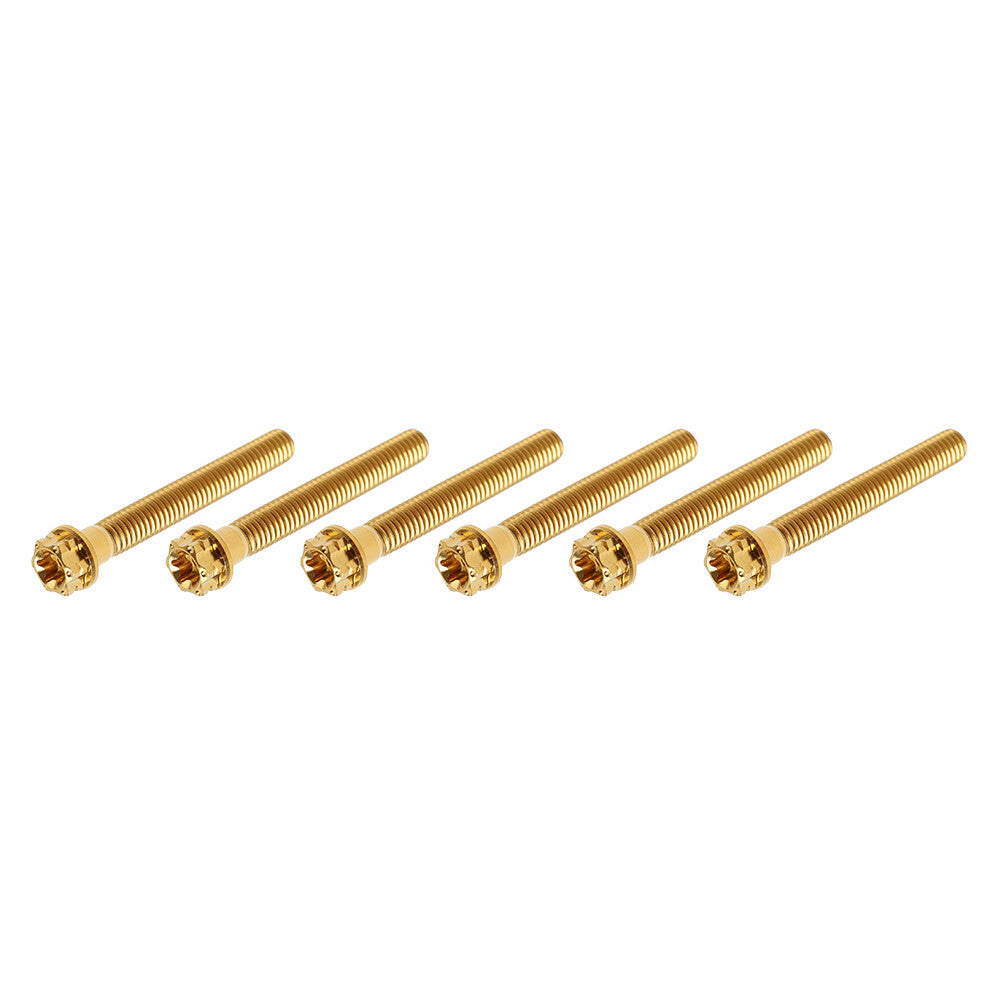 6pcs Bolts Torx Head Flange Screws M6x45mm Gold For Motorcycle Bike