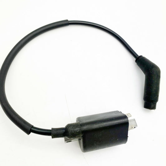 Ignition Coil Linhai Monarch Mainstree Goon Bighorn 260c 300 400 Scooter ATV UTV
