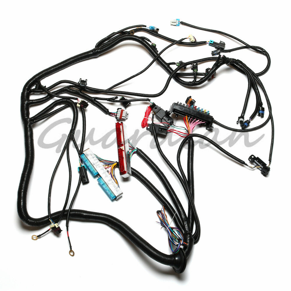 Standalone Wiring Harness LS1-T56 For Non-Electric Tran 4.8 6.0 DBC 97-06 98 99