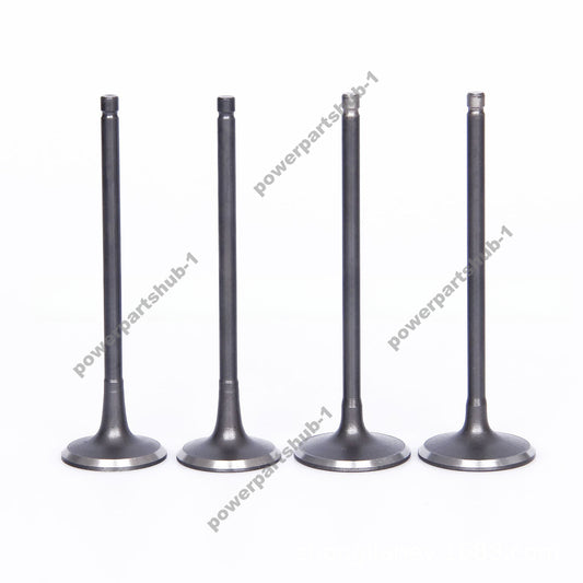 0281096 01B028109611E intake and exhaust valves For Linde/H18/7MM Diesel Eng