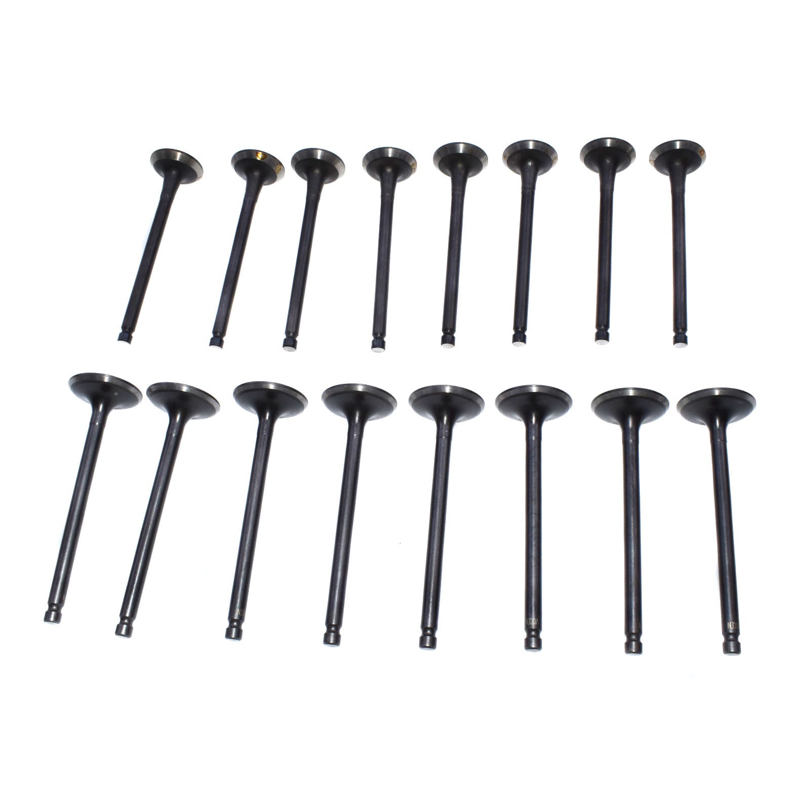 Intake and exhaust valve kit suitable for the for Hyundai Accent and for Kia Rio5 1.6L (brand new)